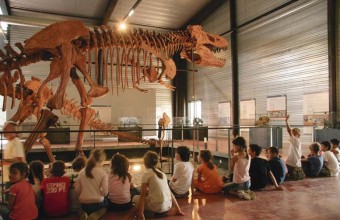 A Dinosauria, l’histoire de la terre expliquée aux enfants de manière ludique.