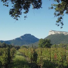Dans l’arrière-pays montpelliérain, le Pic Saint-Loup s’entoure d’un vignoble de renommée internationale.